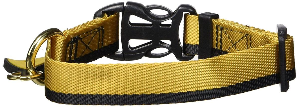 Star trek hotsell dog collar