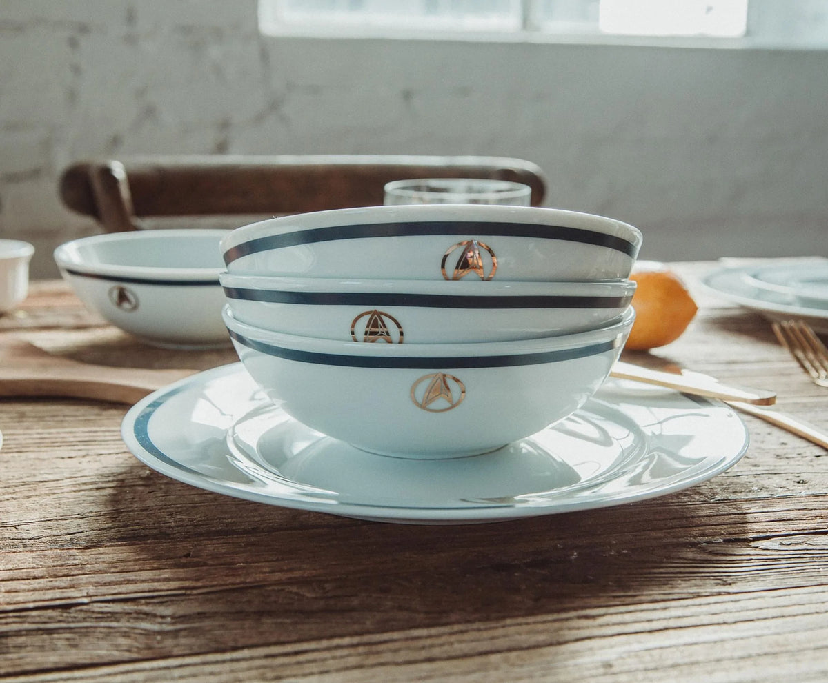 Star Trek Picard 25th Century 16 Piece Ceramic Dinnerware Set